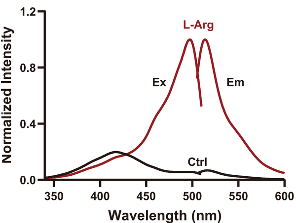 STAR sensor for arginine