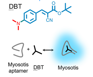 DBT fluorogenic ligand for Myosotis L size