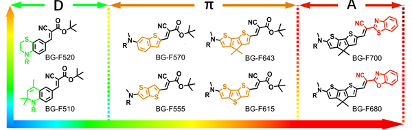 BGF fluorogenic ligands for SNAP-tag L size