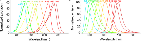 BGF fluorogenic ligands for SNAP-tag S size